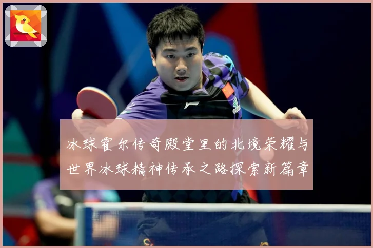 冰球霍尔传奇殿堂里的北境荣耀与世界冰球精神传承之路探索新篇章成长观察